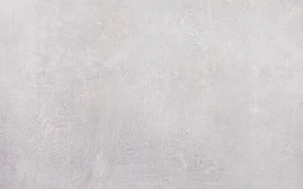 Płyta tarasowa ZOYA Stark White 2.0 60x120